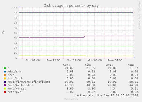 Disk usage in percent