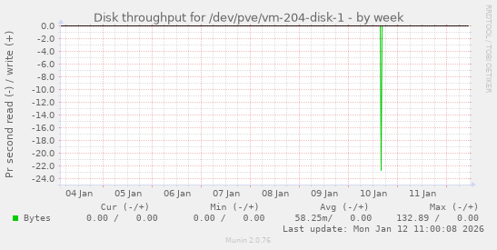 Disk throughput for /dev/pve/vm-204-disk-1