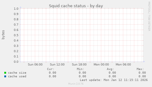 Squid cache status